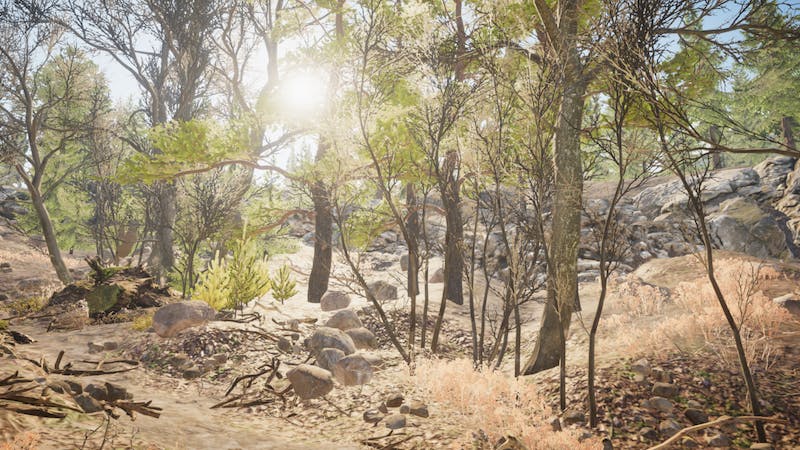 Valley Forest for clusterのアイキャッチ画像