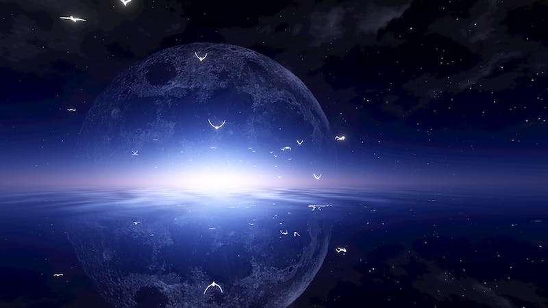 Flying birdsのアイキャッチ画像