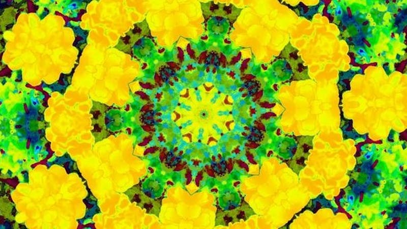 ha-do nekomaru kaasisのアイキャッチ画像