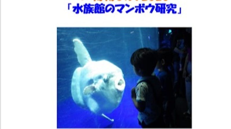 水族館のマンボウ研究のアイキャッチ画像
