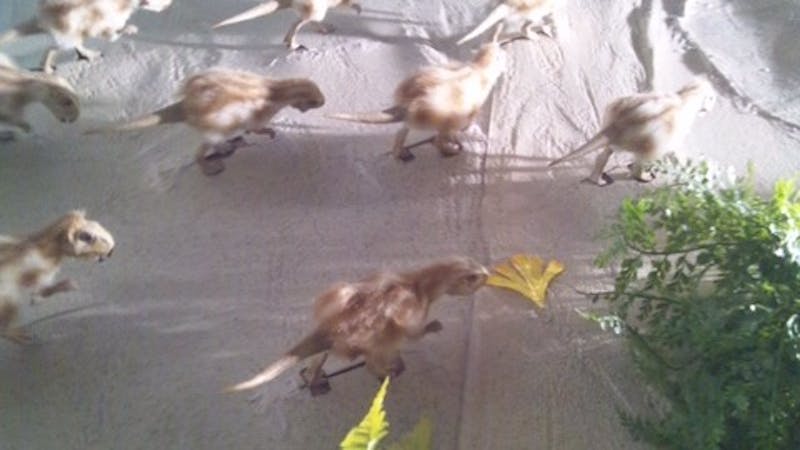 月曜日はクママ先生代打のカノン先生！ヒーラーエンジェルこま率いるセラピスト集団による占いトークライブのアイキャッチ画像