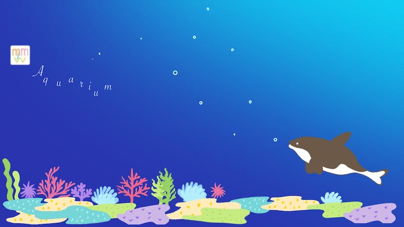 mmjw aquarium-Jan-2023のアイキャッチ画像