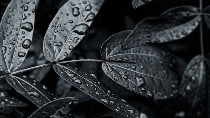 tesutoのアイキャッチ画像