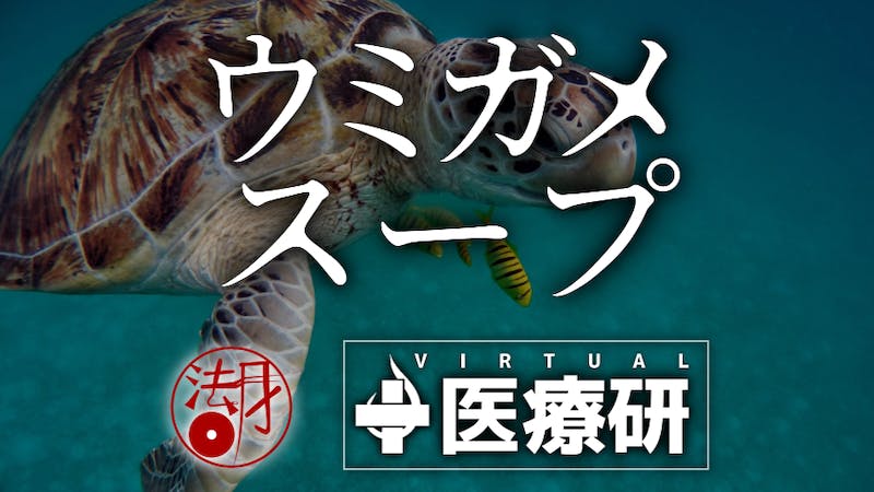 参加型　ウミガメのスープ　法月ロイｘＶ医研のアイキャッチ画像