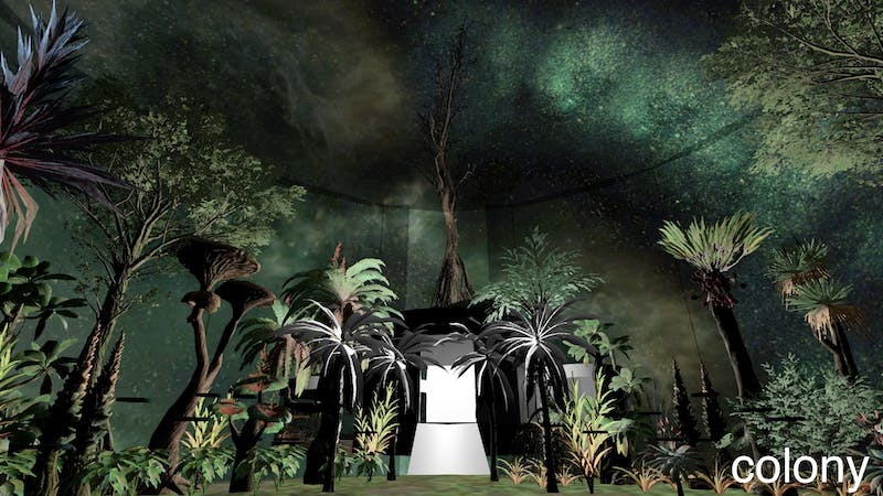 colonyのアイキャッチ画像