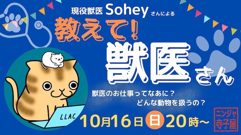 教えて!獣医さんのアイキャッチ画像