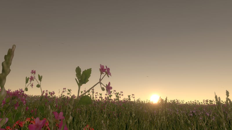 あの日の草原のアイキャッチ画像