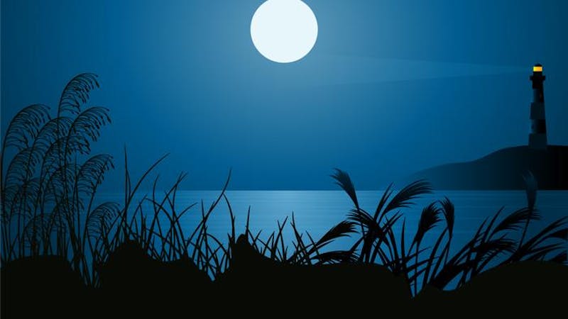 夜の11時ぐらいですかね。突然……のアイキャッチ画像