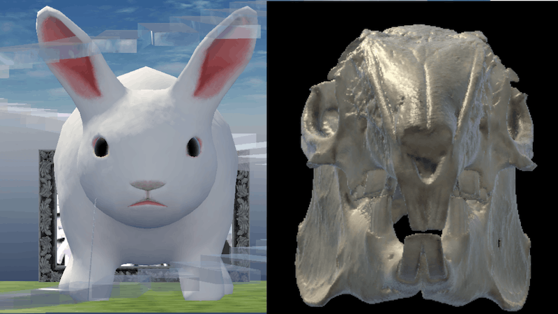 うさぎのあたまのなかのアイキャッチ画像