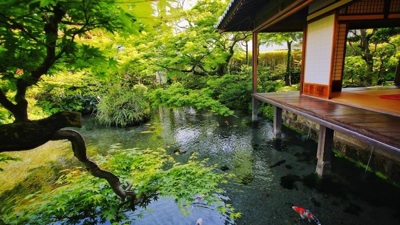 九美樗庵～くみちょあん～のアイキャッチ画像