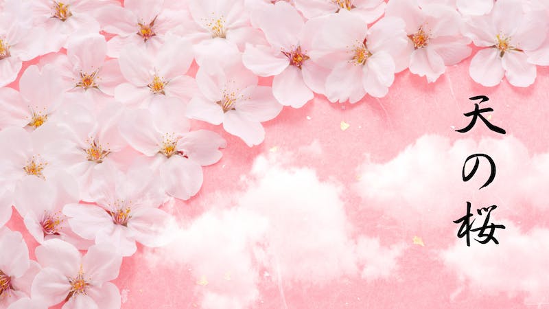 天の桜のアイキャッチ画像