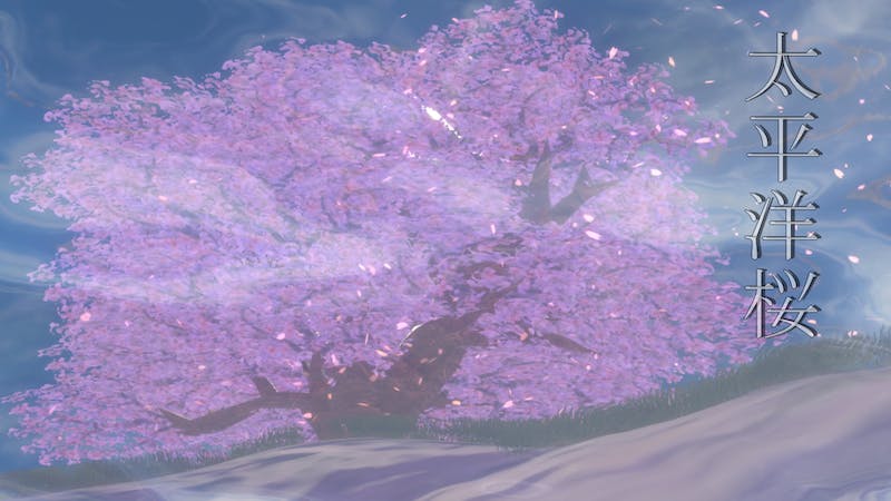 太平洋桜のアイキャッチ画像