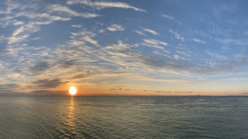 New Worldのアイキャッチ画像