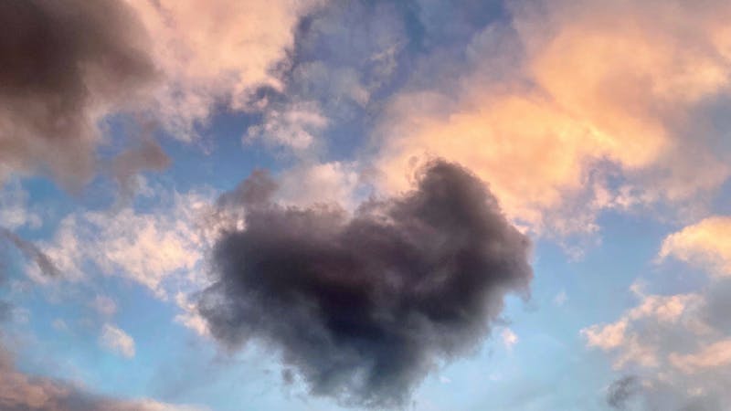 猫と空のアイキャッチ画像