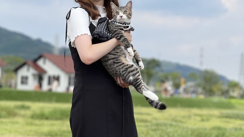 FOGチャンネル主催　アニマニズム　ワンチャン。ネコチャン大集合のアイキャッチ画像