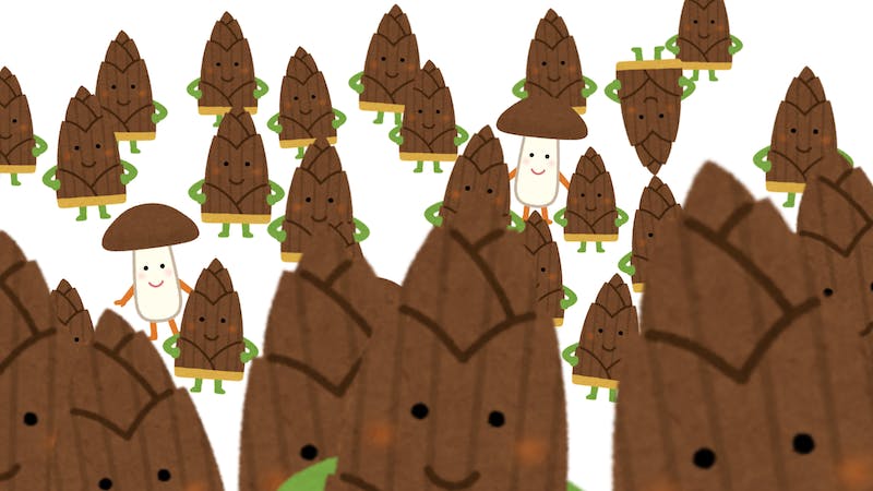 PhotoRoomのアイキャッチ画像